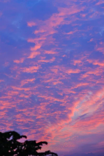 Colorful with red, orange and blue dramatic sky on the clouds for abstract background. Romantic sunset background with beautiful blue, red and yellow clouds.