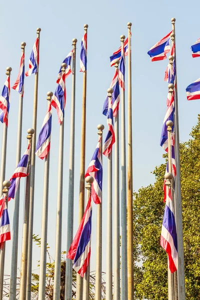 Hermosa Vista Las Banderas Nacionales Tailandesas Los Postes Queen Sirikit —  Fotos de Stock