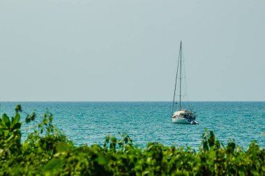 Salma tekne palamarla sahil tarafında, orman plaj görünümden. Orman ağaç ve Yelkenli deniz manzarası görünümü. Yat ve ağaç ile huzurlu plaj. Yelkenli veya salma tekne Naiyang Beach Phuket ağaç çerçevesindeki