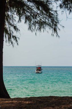 Hız tekne palamarla sahil tarafında, orman plaj görünümden. Orman ağaç ve tekne ile deniz manzarası görünümü. Yat ve ağaç ile huzurlu plaj. Yelkenli veya hız tekne Naiyang Beach Phuket ağaç çerçevesindeki