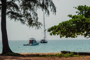Salma tekne palamarla sahil tarafında, orman plaj görünümden. Orman ağaç ve Yelkenli deniz manzarası görünümü. Yat ve ağaç ile huzurlu plaj. Yelkenli veya salma tekne Naiyang Beach Phuket ağaç çerçevesindeki
