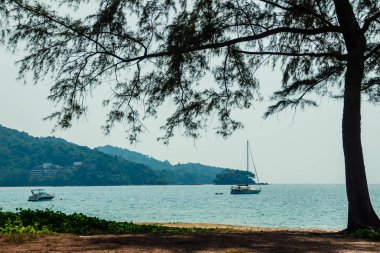 Salma tekne palamarla sahil tarafında, orman plaj görünümden. Orman ağaç ve Yelkenli deniz manzarası görünümü. Yat ve ağaç ile huzurlu plaj. Yelkenli veya salma tekne Naiyang Beach Phuket ağaç çerçevesindeki