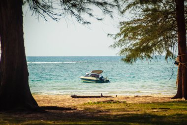 Hız tekne palamarla sahil tarafında, orman plaj görünümden. Orman ağaç ve tekne ile deniz manzarası görünümü. Yat ve ağaç ile huzurlu plaj. Yelkenli veya hız tekne Naiyang Beach Phuket ağaç çerçevesindeki