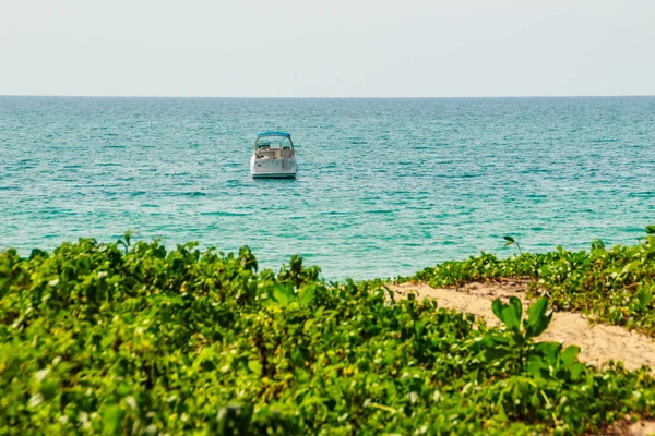 Barco Velocidad Amarrado Lado Orilla Vista Desde Playa Forestal Vista — Foto de Stock