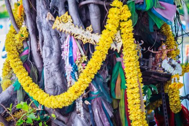 Şeritler ve manevi yapıları ile süslenmiş ruhu Tayland Banyan tree