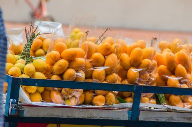 Plango meyve ya da Marian Plum, ünlü tropikal Satılık Tayland meyve. Tropikal meyve Marian Erik, Plango, Maprang veya Mayongchid (Bouae bumanica Griff)