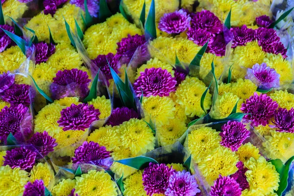 Beautiful yellow and purple chrysanthemum flowers as background picture and wallpaper. Yellow and violet Chrysanthemum flower for sale in the flower market in Bangkok, Thailand.