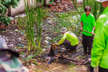 Bangkok, Tayland - 22 Şubat 2017: Bangkok belediye personelinin iş hızlı drenaj için bitki örtüsü çöpünü tarama kanal. Ekskavatör, hendek, yabani ot ve su engelleri temizletir.