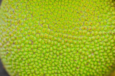 Arka plan ve doku için yeşil nefesi Pütürlü yüzeyi görünümünü kapat