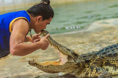 Nakhon Pathom, Tayland - 18 Mayıs 2017: Riskli timsah Samphran Timsah Çiftliği en etkileyici genel timsah biri dünyada gösterir.
