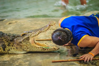 Nakhon Pathom, Tayland - 18 Mayıs 2017: Riskli timsah Samphran Timsah Çiftliği en etkileyici genel timsah biri dünyada gösterir.