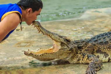 Nakhon Pathom, Tayland - 18 Mayıs 2017: Riskli timsah Samphran Timsah Çiftliği en etkileyici genel timsah biri dünyada gösterir.