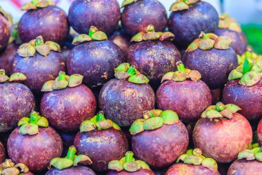 Ekstra büyük boy meyve pazarında Satılık mor Mangosteen (Garcinia mangostana). Organik menekşe mangosten meyve doku arka plan yüzeyi kadar kapatın.