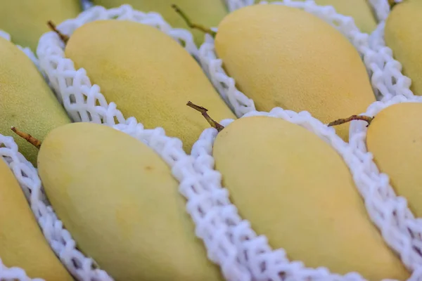 Organic Nam Dok Mai mangoes for sale at the fruit market. The Nam Doc Mai (Nam Dok Mai) mango is a mango cultivar which originated in Thailand. It is the most popular mango variety in Thailand.