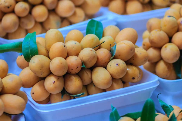 Plango meyve ya da Marian Plum, ünlü tropikal Satılık Tayland meyve. Tropikal meyve Marian Erik, Plango, Maprang veya Mayongchid (Bouae bumanica Griff)