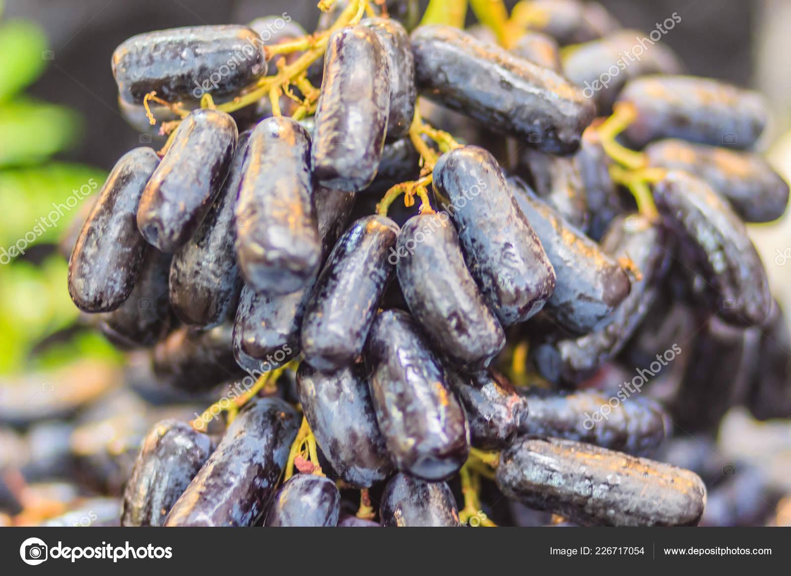 Organic Seedless Green Finger Grapes, Fruits