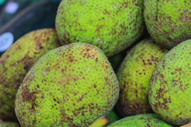 Ekstra büyük boy organik meyveler (Artocarpus altilis) meyve meyve pazarında Satılık. Meyveler çiçekli ağaç dut ve nefesi ailesindeki familyasından bir.