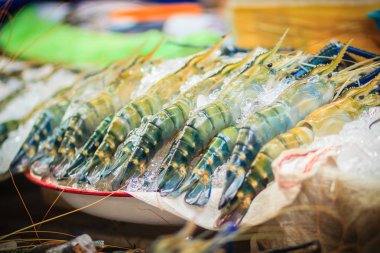 Ekstra büyük boy dev Malezya (Macrobrachium rosenbergii) olarak da bilinen dev nehir karides veya dev tatlı su karides karides, palaemonid tatlı karides, ticari açıdan önemli bir türüdür