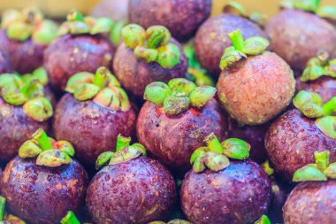 Ekstra büyük boyutu meyve pazarında Satılık mor Mangosteen (Garcinia mangostana). Organik menekşe mangosten meyve doku arka plan yüzeyi kadar kapatın.