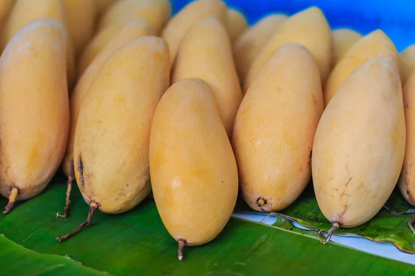 Organic Nam Dok Mai mangoes for sale at the fruit market. The Nam Doc Mai (Nam Dok Mai) mango is a mango cultivar which originated in Thailand. It is the most popular mango variety in Thailand.