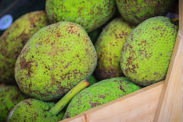 Extra Large Size Organic Breadfruit Artocarpus Altilis Fruit Sale Fruit — Stock Photo, Image