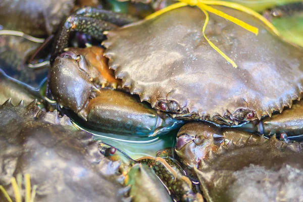 부드러운 모양의 맹그로브 해산물 시장에서 판매를 그들의 골격을 Molted 최근에 — 스톡 사진