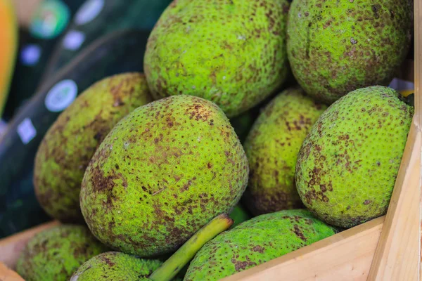 Extra Large Size Organic Breadfruit Artocarpus Altilis Fruit Sale Fruit — Stock Photo, Image