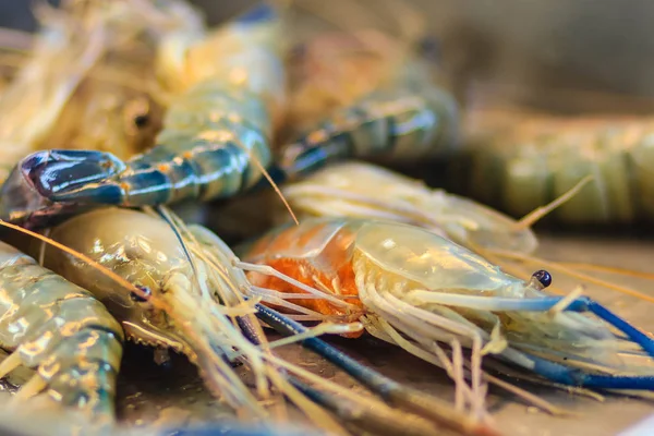 Extra jumbo size of giant malaysian prawn (Macrobrachium rosenbergii) also known as the giant river prawn or giant freshwater prawn, is a commercially important species of palaemonid freshwater prawn