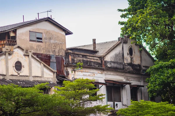 Stare Opuszczone Domy Drzewa Chinatown Bangkok Tajlandia — Zdjęcie stockowe
