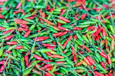 Organik kırmızı ve yeşil kuşun göz chili, kuş gözü chili, kuş chili, Şili de arbol veya Tay chili biber biber, Capsicum annuum, türlerden çeşidinde genellikle Güneydoğu Asya'da bulunur.