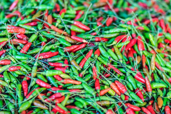 Organic red and green bird\'s eye chili, bird eye chili, bird\'s chili, chile de arbol, or Thai chili is a chili pepper, a cultivar from the species Capsicum annuum, commonly found in Southeast Asia.