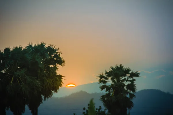 Şeker Palmiye Ağaçları Ile Renkli Arka Plan Gökyüzü Dağ Güneş — Stok fotoğraf