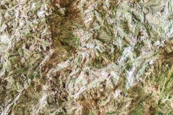 Aktinolit şist örnek. Gibi kişi haleler çevreleyen müdahaleci volkanik kayalar soğutmalı aktinolit yaygın metamorfik kayaların içinde bulunan bir amfibol silikat mineraldir.