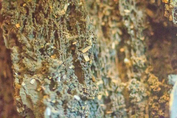 Βαρίτη Κρύσταλλο Geothite Και Αιματίτης Πέτρα Δείγμα Λεπίδα Συνήθεια Βαρύτης — Φωτογραφία Αρχείου