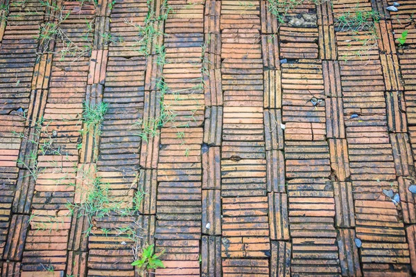 Старовинна Підлога Ніг Прикрашена Старими Червоними Цеглинами Зеленою Травою Росте — стокове фото