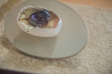 Az gelişmiş embriyo yumurta içinde yılan.