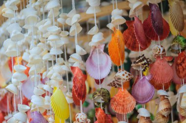 Arka planda çeşitli deniz kabuklarından yapılmış klasik mobil, dükkanda satılık güzel deniz kabuğu mobili. Mermi duvarında üretilen el sanatları, deniz kenarından hatıralar..