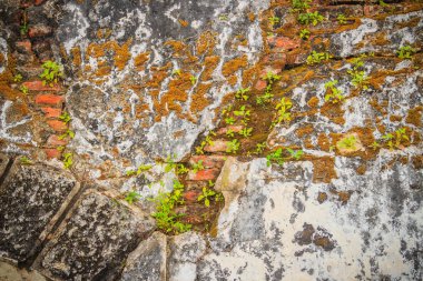 Eski tarihi kırık tuğla güneşli yaz günde arka plan duvar. Kırmızı tuğla eski duvar doku arka plan soyut. Kalıntılar kırmızı tuğla çökmekte düzensiz arka plan doku duvar.