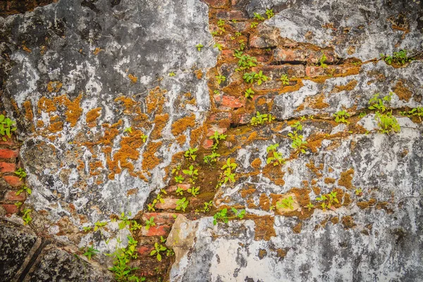 Grungy historical broken brick wall background in sunny summer day. Abstract red brick old wall texture background. Ruins uneven crumbling red brick wall background texture.