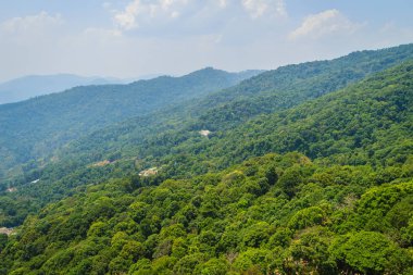 Yeşil mountain view adlı Doi Suthep-Pui Milli Parkı, Chiang Mai, Tayland. Park orman üzerinde 1000 metre yukarıda daha yüksek rakımda herdem yeşil orman ve karışık evergreen yaprak döken orman oluşur. 