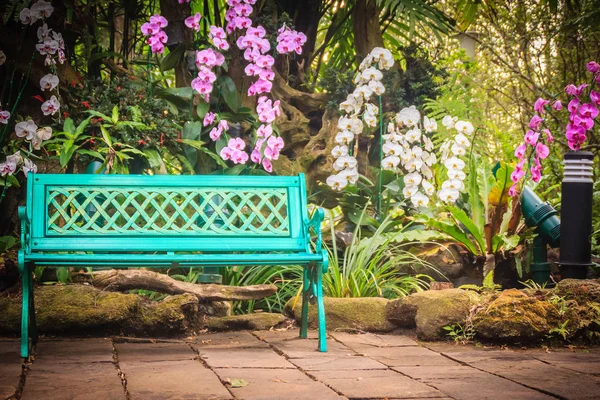 Decorative bright blue bench on concrete brick floor with beautiful orchid flowers and green garden background. Peaceful garden decorated with bench, orchid, fern, stone and palm tree background.