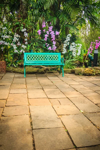 Decorative bright blue bench on concrete brick floor with beautiful orchid flowers and green garden background. Peaceful garden decorated with bench, orchid, fern, stone and palm tree background.