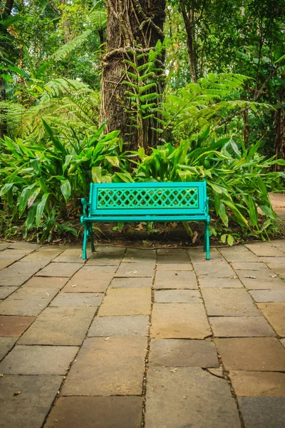 A bright blue bench on concrete brick floor with beautiful green fern and tree trunk background. Peaceful gardening with bench and fern bushes background.