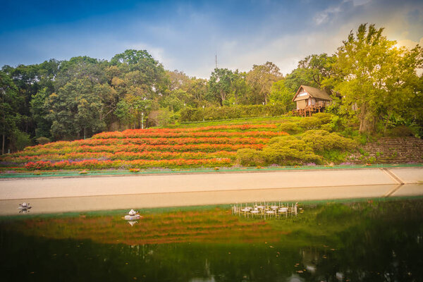 Beautiful landscape view of red flower garden and the small cottage in the forest at Bhubing palace, Chiang Mai, Thailand.