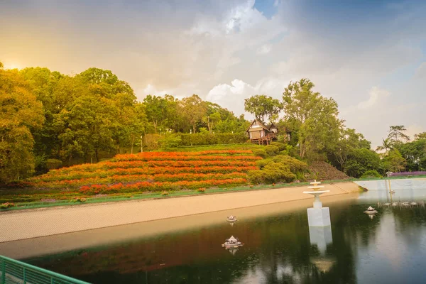 Hermosa Vista Del Paisaje Del Jardín Flores Rojas Pequeña Casa —  Fotos de Stock