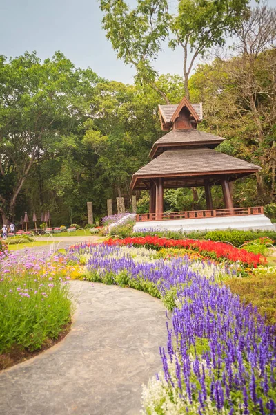 Bunte Landschaft Blick Auf Blumengarten Und Nördlichen Thailändischen Stil Holzpavillon — Stockfoto