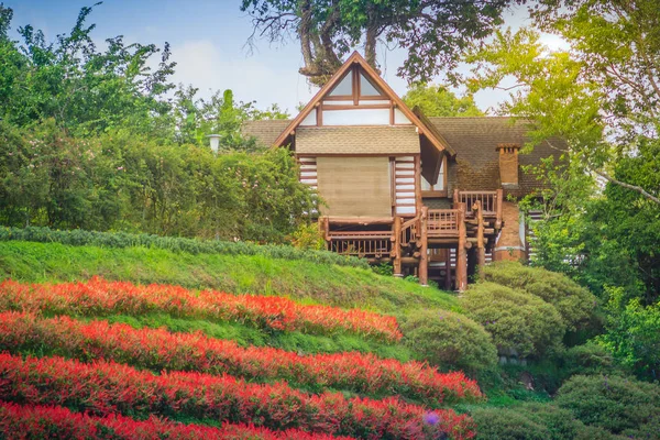Güzel Manzaralı Kırmızı Çiçek Bahçesi Bhubing Sarayı Chiang Mai Tayland — Stok fotoğraf