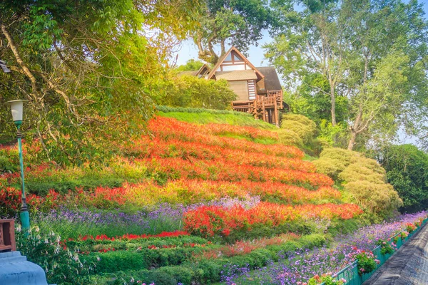 Hermosa Vista Del Paisaje Del Jardín Flores Rojas Pequeña Casa —  Fotos de Stock