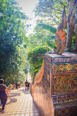 Chiang Mai, Tayland - 3 Mayıs 2017: Turistler Wat Phra 'daki altın çedi' ye tapındıktan sonra Naga merdivenlerinden iniyorlar..