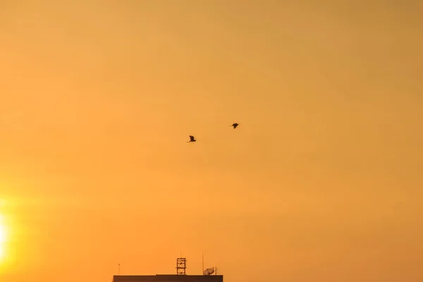 建物の背景にオレンジ色の夕焼け空 日没時に黄色い空背景 — ストック写真